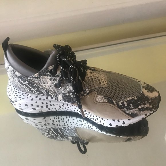 Steve Madden Sporty Cliff Sneaker - Picture 3 of 7